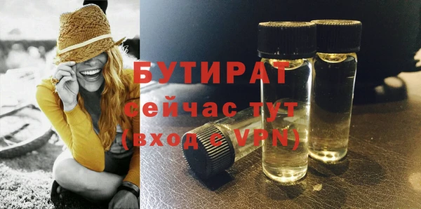 гидра Верхний Тагил