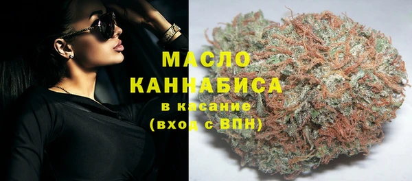 гидра Верхний Тагил