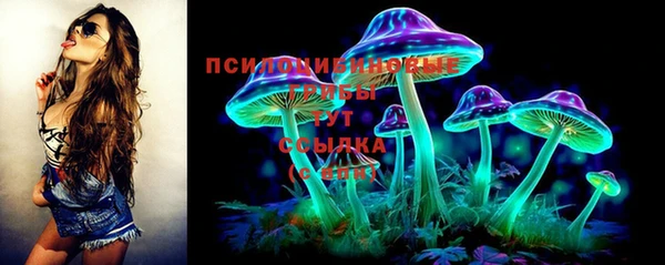 гидра Верхний Тагил