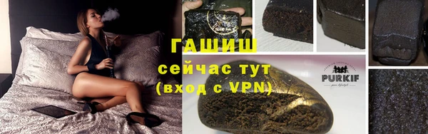 гидра Верхний Тагил
