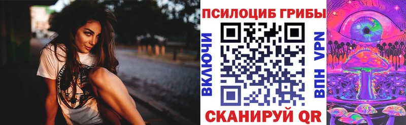 Псилоцибиновые грибы мицелий  что такое   это клад  Игарка  omg зеркало 